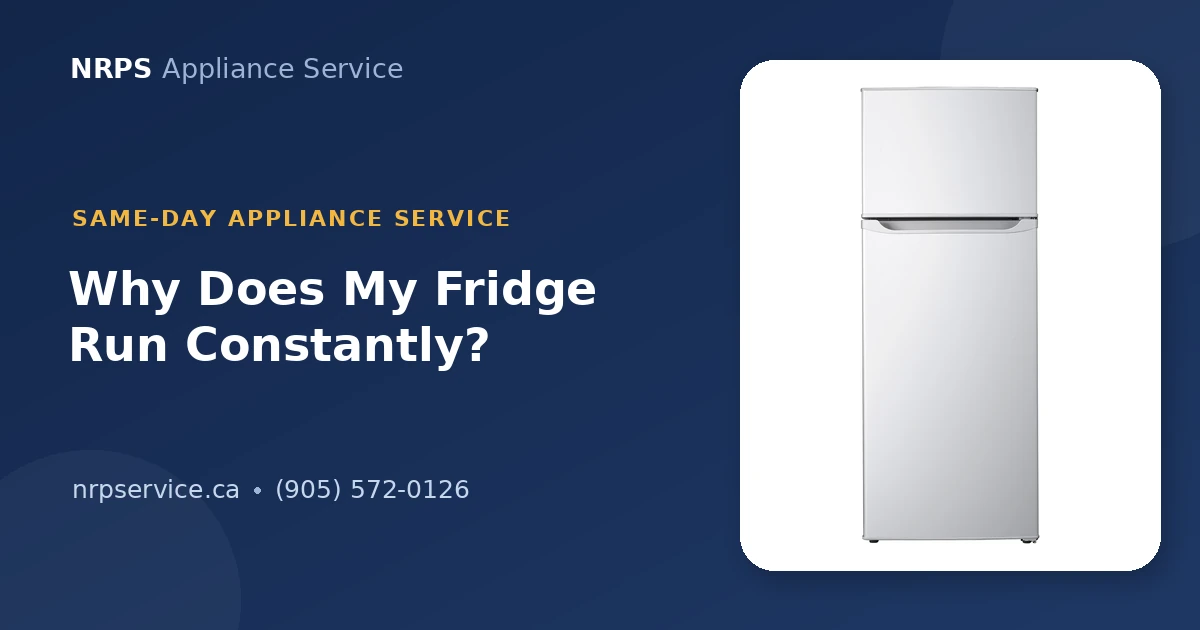Refrigerator condenser coils being cleaned underneath the appliance